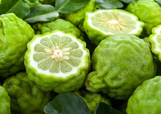 Bergamot Essential Oil