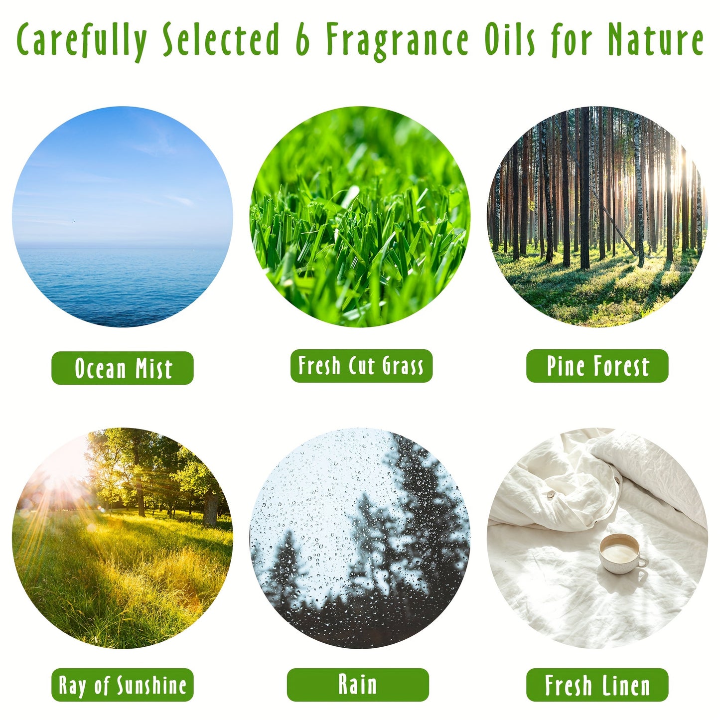 Essence of Serenity: 6-Pack Aromatherapy Essential Oils Gift Set for Home & Candle Making